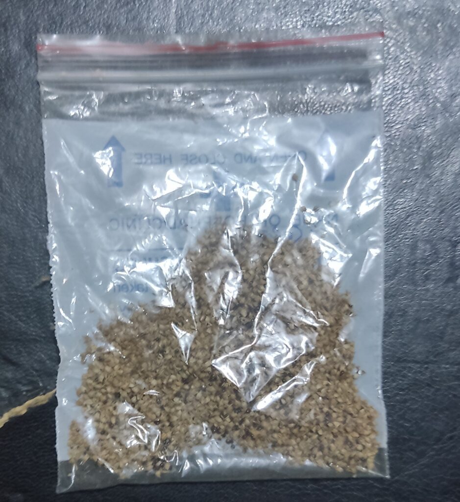 Amaranth Green Seed Envynature