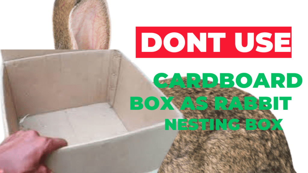 CardBoard Box as Rabbit Breeding or Birthing Box