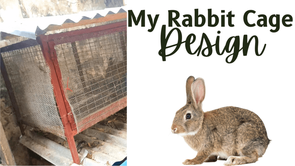 My Rabbit Cage Design