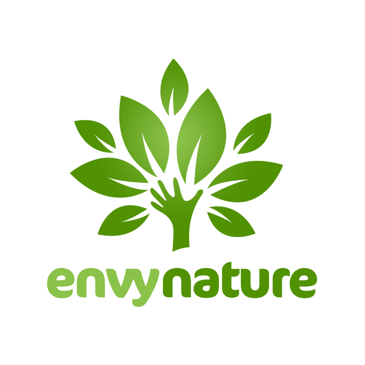 Fluted Pumpkin Origin Health Benefits And How To Grow Envynature