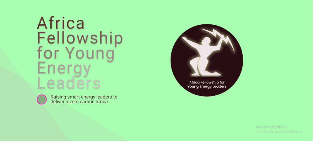 African fellowship for youth development