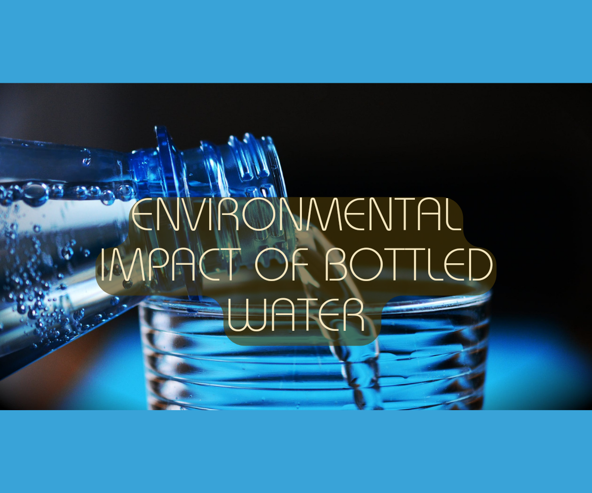 Environmental Impact Of Bottled Water | Envynature