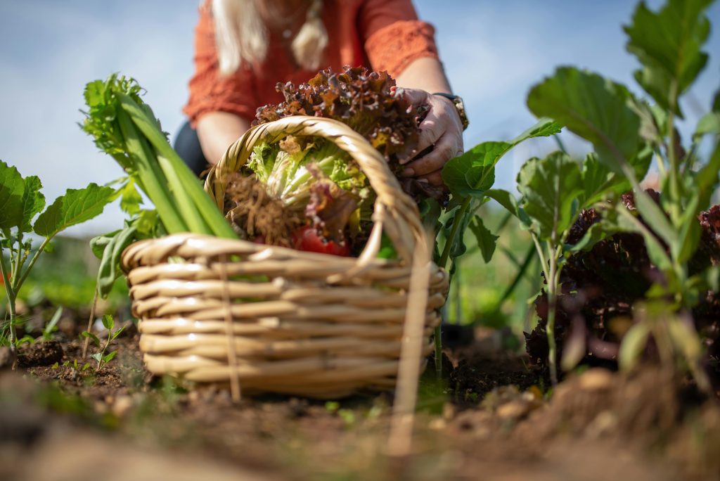 A farmer