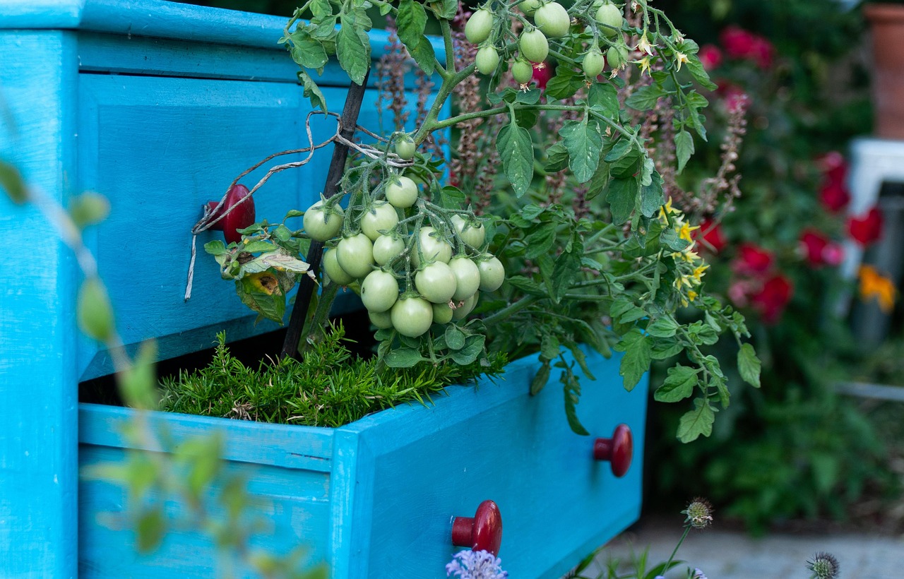 A small garden