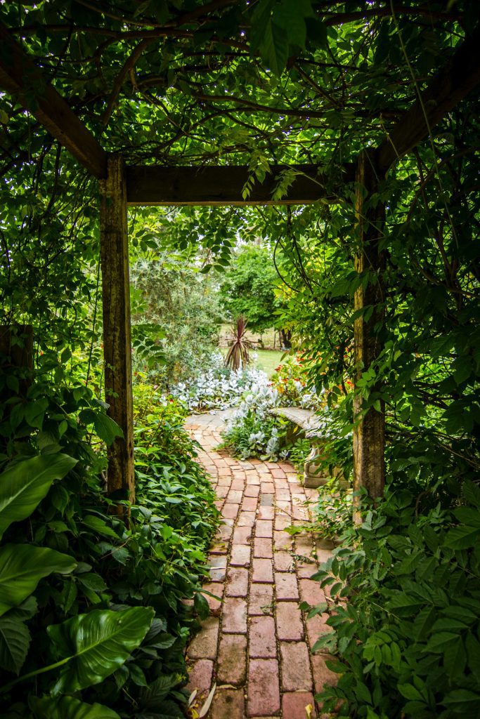 A garden