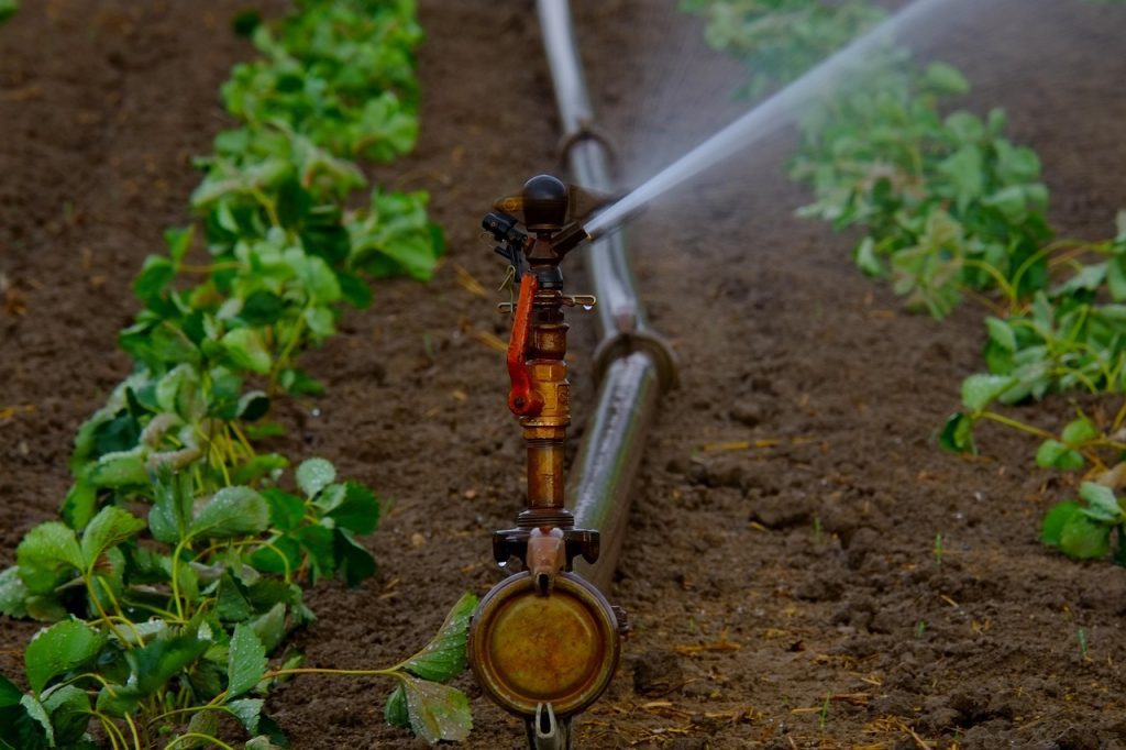 Sprinkler beds