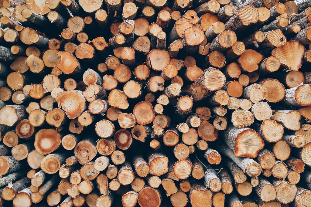 Logs of wood