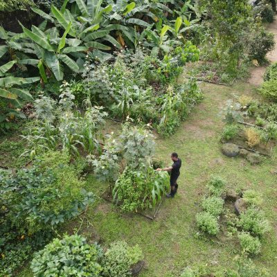 Regenerative Farm Regenerative Farm