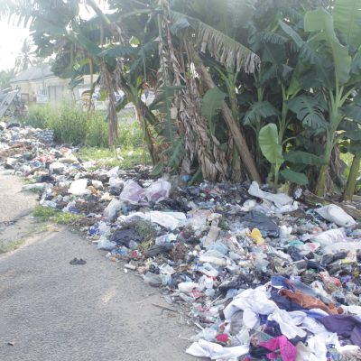 Street Pollution Street Pollution